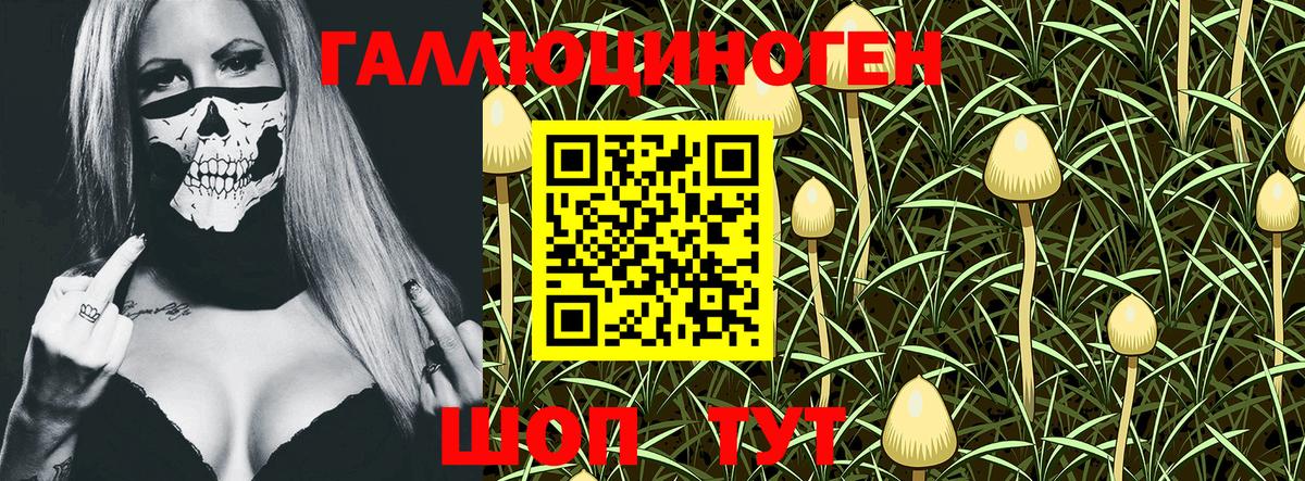 Псилоцибиновые грибы MAGIC MUSHROOMS  Вход с VPN  Тимашёвск 